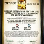 KS Linz 06
